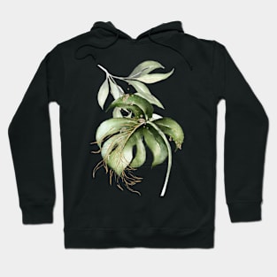 Monstera Watercolor Abstract Art Hoodie